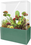 Grow Your Own Venus Fly Trap, Complete Adults Square Terrarium Starter Kit to Plant Fascinating Man Eating Fly Traps, Includes All Supplies for Indoor Flytrap Terrariums by UniqueGardener