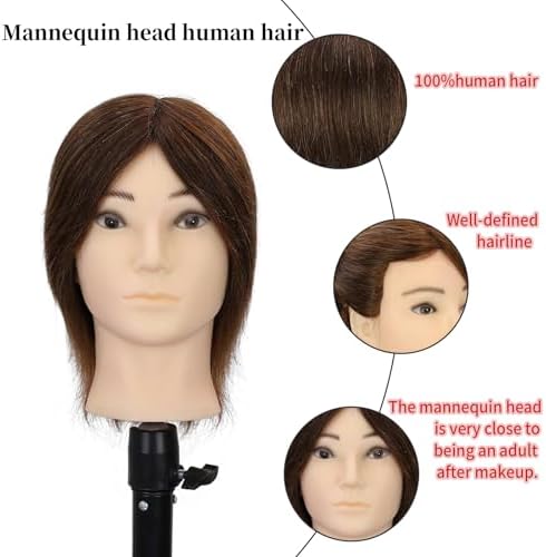 Male Mannequin Head, 8-inch 100% Human Hair Training Head (Includes Beard), Classic Brown Style for Haircutting and Styling Practice - Image 2