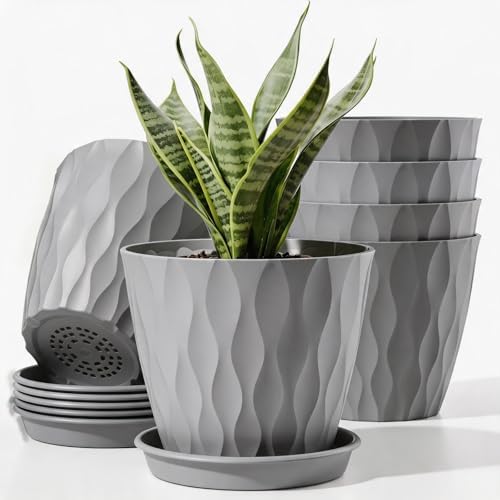6 Pack Plant Pots with Drainage Holes, 4 Inch Plastic Indoor Flower Pots, Succulent Pots for Orchids, Violets, Succulents, Herbs, and Other Small Plant, Gray by Unknown