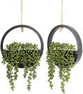 Floweroyal 2pcs Artificial Succulents Hanging Plants 12.2'' Fake String of Pearls in Pot with 8.3'' Lanyard for Indoor Outdoor Wall Decor (Black). by FloweroyalCrafts