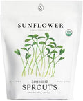 Organic Sunflower Sprout Seeds (8 oz) – Non-GMO, Heirloom Seeds for Sprouting and Microgreens by Sereniseed