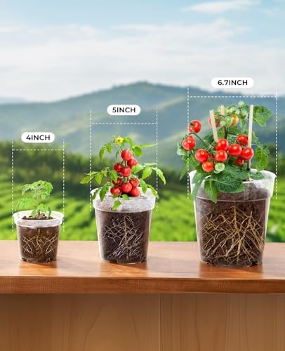 homenote 4/5/6.7 Inch Transparent Nursery Pots with Drainage Holes (30 Pcs) - Image 4