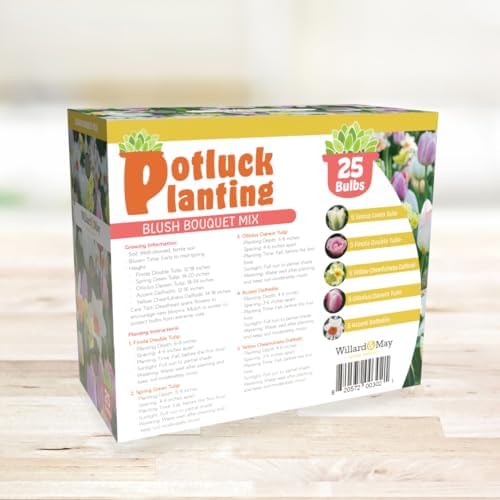 All-in-One Flower Garden Kit - 25 Flower Bulbs Per Box - Potluck Planting Blush Bouquet Mix - Tulip and Daffodil Mix - Fragrant - Naturalizing - Live Outdoor Garden - Easy to Plant Flowers - Image 6