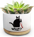 Funny Black Cat Plant Pot for Succulent, Cactus Flower Planter for Indoor Plants, Unique Succulents Pots with Drainage, Cats Owner Gifts, Home Desk Decor Planter Gift for Cat Lover (No Plants) by Jutasty