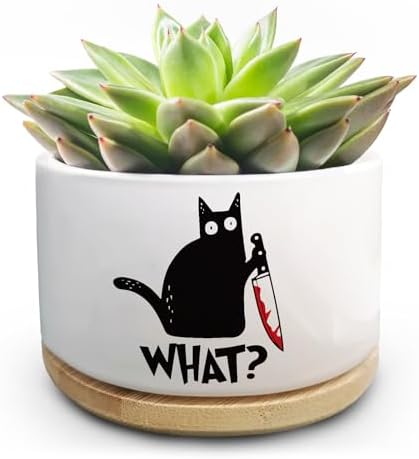 Funny Black Cat Plant Pot for Succulent, Cactus Flower Planter for Indoor Plants, Unique Succulents Pots with Drainage, Cats Owner Gifts, Home Desk Decor Planter Gift for Cat Lover (No Plants) by Jutasty