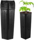 OMISTAR 50 Pcs Plastic Nursery Bags, Fruit Flower Grow Bags, Tall Square Plant Containers, Seedling Flower Starting Pots, Succulent Planters with Drainage Holes for Garden by OMISTAR