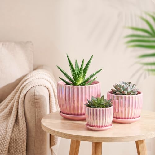 Ceramic Plant Pots 4+5.5+6.7 Inch Indoor Planters with Drainage & Saucers - Image 7