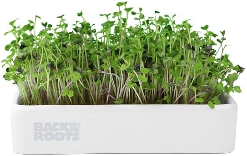 Back to the Roots Organic Microgreens Grow Kit with Ceramic Planter, Expandable Soil, Organic Seeds, and Germination Lid by BacktotheRoots