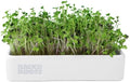 Back to the Roots Organic Microgreens Grow Kit with Ceramic Planter, Expandable Soil, Organic Seeds, and Germination Lid by BacktotheRoots