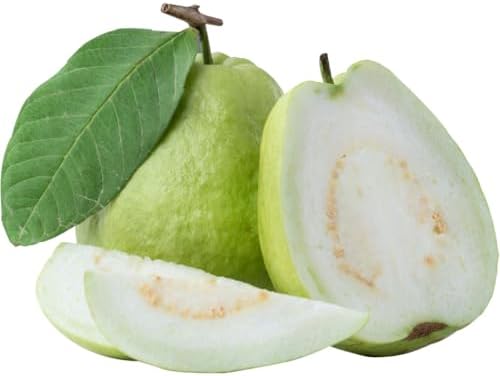 White Guava Tree Live Plant, Garden Fruit Tree, 6-10 Inch Tall, 4 Inch Pot - Image 6