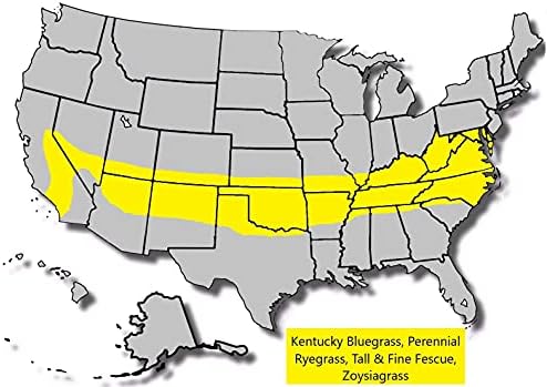 Jacklin Seed by Barenbrug - Heisman Mix | 85% Kentucky Bluegrass, 15% Perennial Ryegrass | Certified Grass Seed (10 lbs (4,000 sq ft)) - Image 5