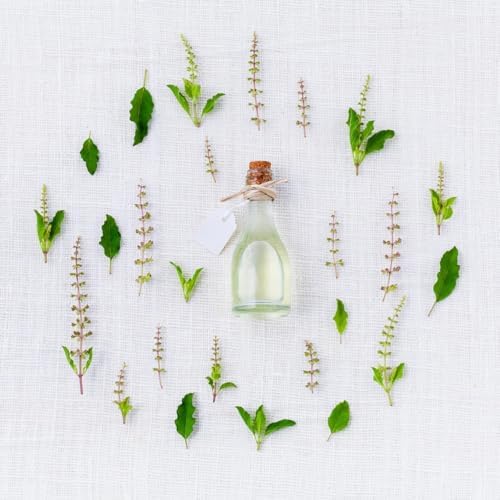 Medicinal Herb and Flower Set - 12 Varieties of Non-GMO & Heirloom Flowers and Herbs - Basil, Cilantro, Calendula, Lavender, Sage, & More! - Image 6