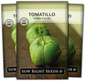 Sow Right Seeds - Toma Verde Tomatillo Seed for Planting Vegetables 3pk by SowRightSeeds