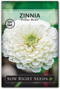 Sow Right Seeds - Zinnia Polar Bear Seed for Planting White Flower Garden by SowRightSeeds