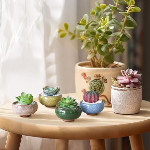T4U Mini Succulent Pots, Small Shallow Ceramic Pots, Retro Gift Set of 12 - Image 3