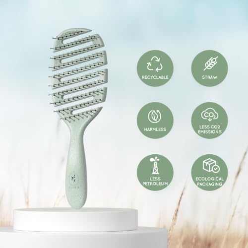 Detangler Hairbrush, Soft Bristle Detangling Brush, Quick Smoothing (Green) - Image 3