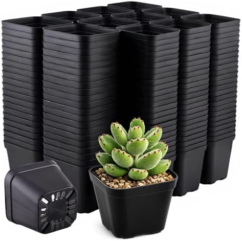 300 Packs Square Nursery Pots for Plants 4 Inch Seedling Pots by Unknown