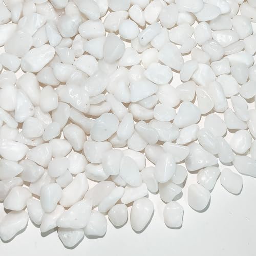 FANTIAN White Pebbles for Indoor Plants, 3/8 Inch Decorative White Stones. Polished River Rocks for Potted Plants Vase Cactus Bird Bath and Outdoor Garden Landscaping by FANTIAN-GardeningMakesLifeBetter