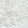FANTIAN White Pebbles for Indoor Plants, 3/8 Inch Decorative White Stones. Polished River Rocks for Potted Plants Vase Cactus Bird Bath and Outdoor Garden Landscaping by FANTIAN-GardeningMakesLifeBetter