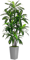 ASTIDY Artificial Plant 6FT Dracaena Fake Tree with Gray Tall Planter by ASTIDY