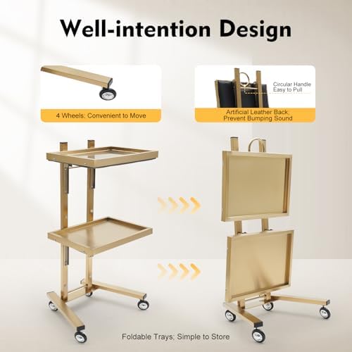 2 Tier Metal Rolling Cart, Folding Salon Tray Trolley, Mobile Storage Tray Cart with Wheels, Rolling Tray Salon Trolley Beauty Hair LashMayo Stand (Silver) - Image 3