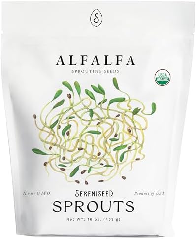 Organic Alfalfa Sprout Seeds (16 oz) – Non-GMO, Heirloom Seeds for Sprouting and Microgreens by Sereniseed