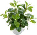 AlphaAcc Small Fake Plants Indoor for Office Bathroom Shelf Decor by AlphaAcc