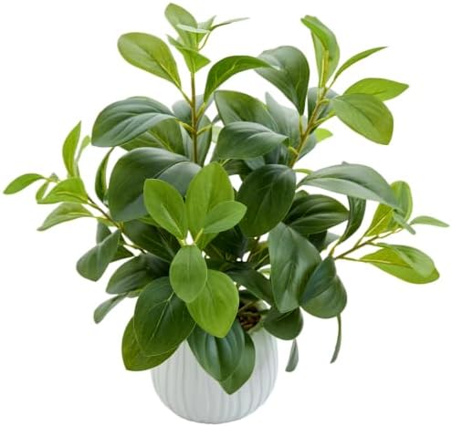 AlphaAcc Small Fake Plants Indoor for Office Bathroom Shelf Decor by AlphaAcc