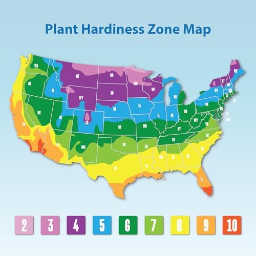 Gardenia Plant (1G), Cape Jasmine Plant Outdoor Plants, Fresh Flowers for Delivery Prime, Live Plants Indoor Plants Live Houseplants, Gardenia Plants Live House Plants Indoors Live by Plants for Pets - Image 5
