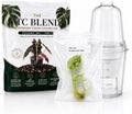 Alocasia Dragonscale Mint Tissue Culture Kit – Rare Variegated Live Plant by Unknown