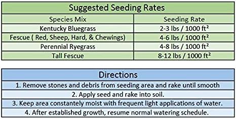 Jacklin Seed by Barenbrug - Heisman Mix | 85% Kentucky Bluegrass, 15% Perennial Ryegrass | Certified Grass Seed (5 lbs (2,000 sq ft)) - Image 2