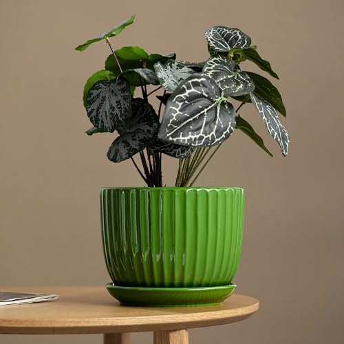 Green Plant Pots,Ceramic Planters with Drainage Holes & Saucers Set of 3 - Image 2