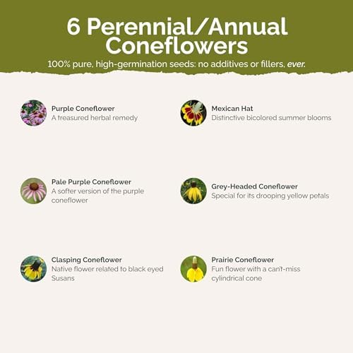 Eden Brothers Conehead Flower Mixed Seeds for Planting, 1/4 lb, 120,000+ Seeds with Prairie Coneflower, Mexican Hat | Attracts Pollinators, Plant in Spring or Fall, Zones 3, 4, 5, 6, 7, 8, 9, 10 - Image 3
