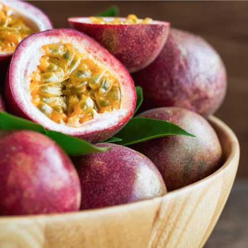 Purple Passion Fruit Live Plant, Well-Rooted Fruit Plant, 5-7 Inch Tall - Image 5