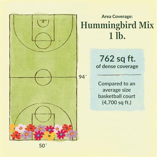 Ferry-Morse Hummingbird Bulk Wildflower Seeds, 148,000+, 1 lb - Image 6