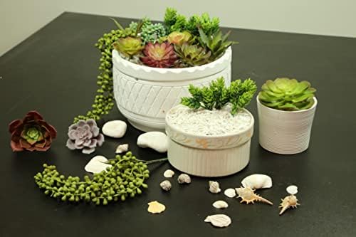 DECOROUS Artificial Succulents Plants Unpotted -14 Pack– Large Fake Succulent Plant Indoor Outdoors – Realistic Faux Cactus Suculentas Bulk for Home DIY Décor – Small Desert Plastic Cacti Succulants - Image 2