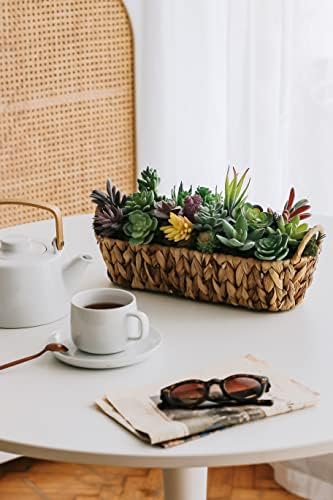Artificial Succulent Plants - 18 Pack - Premium Fake Plants - Double Flocked Succulents - Realistic Textured Cactus - Face Succulent Plants - Mini Faux Succulents - Face Plant Decor - Image 3