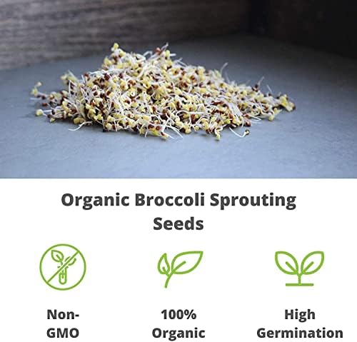 Handy Pantry Broccoli Sprouts Seed Organic - 1 Lb - Non-GMO Broccoli Seeds - Image 6