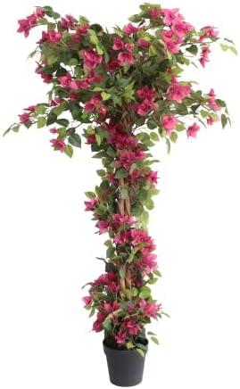 Damomo 5 Feet Artificial Bougainvillea Tree with Flowers in Plastic Pot Faux Blooming Tree for Decor Indoor or Outdoor Home Office, 1 PCS(63 inch) by Damomo