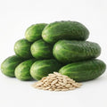 50 Cucumber Seeds for Planting - Heirloom, Straight Eight by RDRSeeds