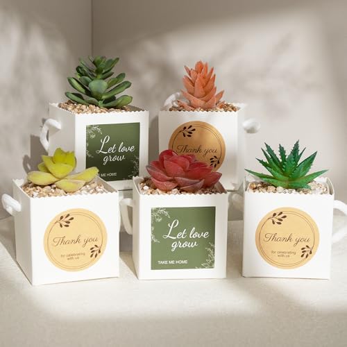 Temlum 2.5 Inch Succulent Wrap Bags (Fits 2.5″ Pots) with Thank You & Let Love Grow Stickers, Small Gift Box for Wedding, Baby Shower, Succulent Party Favors for Guests (White 100pcs) - Image 3