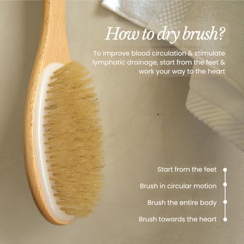 Bare Botanics 17" Extra Long Dry Body Brush - Medium Firmness Back Scrubber - Image 6