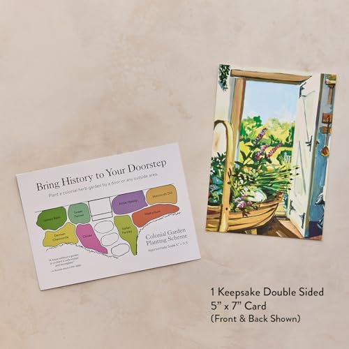 Burpee 'A Colonial Dooryard Herb Garden' – Heritage Kitchen Herb Starter Kit with 8 Non-GMO Seeds, Plant Labels & Dooryard Garden Design Card - Image 5