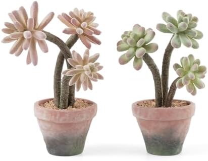 Artificial Succulents in Waterproof and Drop-resistant Pots with 2 Pack by Fuxdre