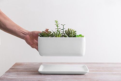 MyGift 10 Inch Modern Unglazed White Ceramic Indoor Plant Pot with Drainage Hole, Rectangular Succulent Planter Window Box with Removable Saucer, 1 Pack - Image 5