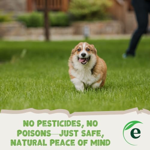 Earthwise PetLawn Alternative Lawn Seed - 50 lb, 1/2 Acre - Image 3