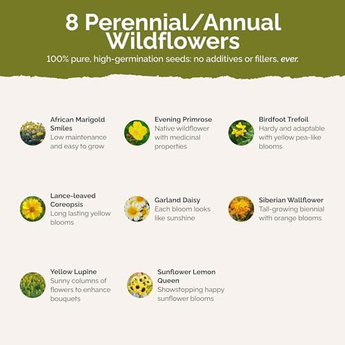 Eden Brothers Ole Yeller Wildflower Mixed Seeds for Planting, 5 lb, 2,400,000+ Seeds with African Marigold, Sunflower | Attracts Pollinators, Plant in Spring or Fall, Zones 3, 4, 5, 6, 7, 8, 9, 10 - Image 3