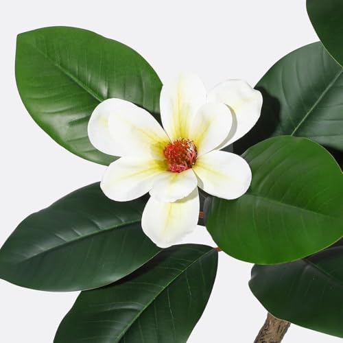 Artificial Magnolia Tree, Tall Faux Plant Indoor with White Flowers in White Planter, Artificial Trees for Home Decor Indoor, Faux Trees Indoor for Living Room Office,6FT - Image 3