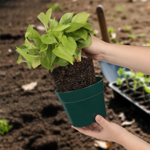 RooTrimmer 15 Pack 4/6/8 Inch Plant Nursery Pots, Sturdy Plant Pots with Drainage Holes, Ideal for Seedlings, Indoor/Outdoor Use, Green - Image 5