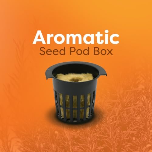 Aromatic Seed Pod Box - 8 Pre-Seeded Non-GMO Herb Seed Pods, Rosemary, Sage and Oregano - Image 2